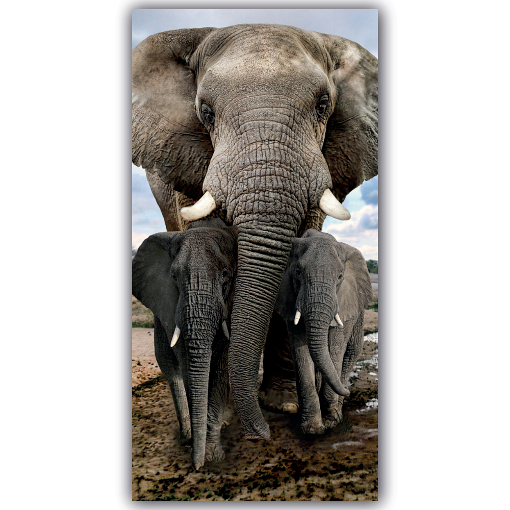 Tableau Famille d’éléphants Tableau Animaux Tableau Éléphant