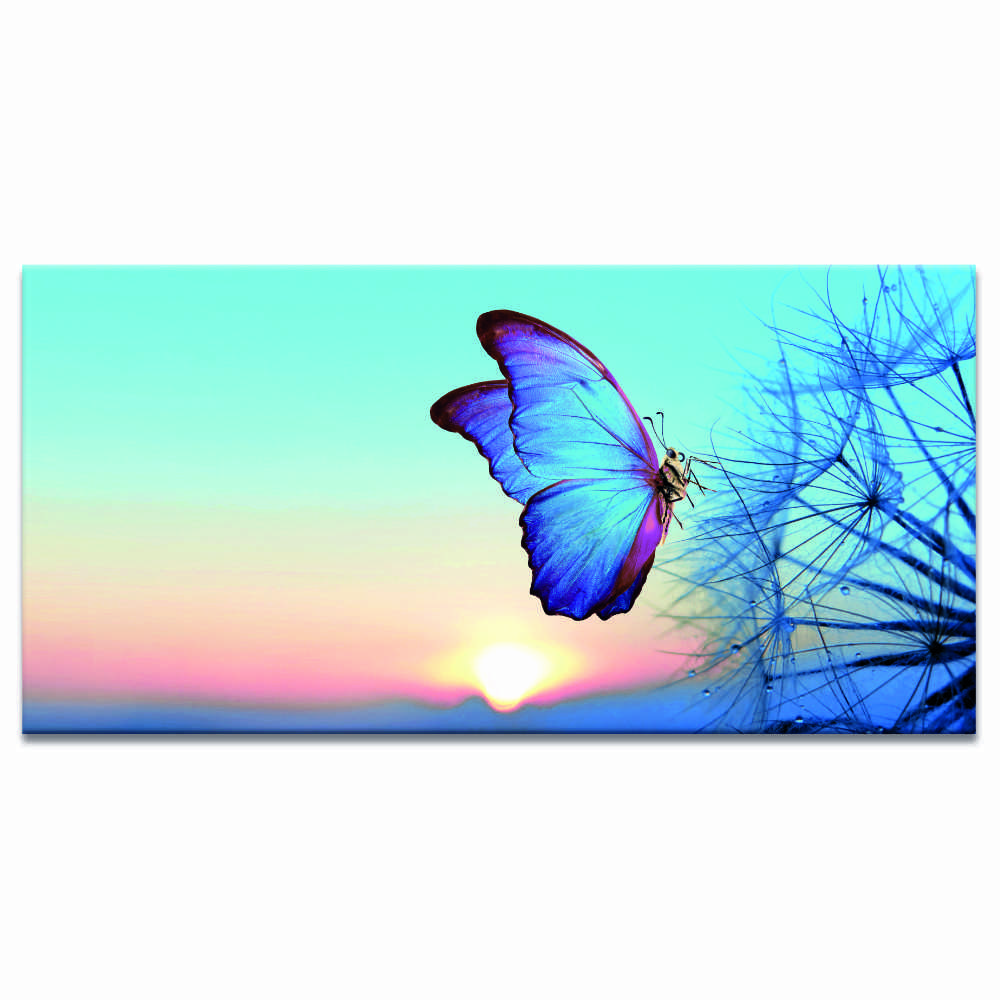 Tableau Papillon bleu au lever du soleil